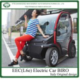 Hot Sale Electric Two Seats Car