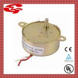 AC Reversible Synchronous Motor (49TYJ)