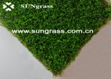 30mm Garden/Landscape/Recreation Artificial Lawn From Sungrass (QDS-6S)