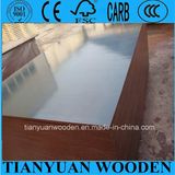 18mm Chinese Film Coated Waterproof Plywood/ Concrete Phenolic Shuttering Plywood