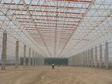 Steel Structure Warehouse Building