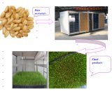 Automatic Barley Sprouting Machine / Alfalfa Growing Machine / Seeds Seedling Machine (JXYJ-100M)