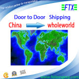 Consolidation Sea Shipping/Sea Cargo From China to Worldwide
