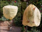 Good Protective PP Non-Woven for Plants