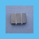 SmCo Rare Earth Magnet