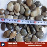 Mixed&Multicolor Pebble Stone