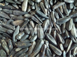 Black Sunflower Seed 2015crop 330-340pieces/50g