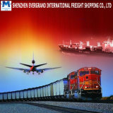 Professional China Railway Transport to Dostyk
