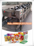 Flexible Package Drying: Vegetable and Fruit Air Drying Machine