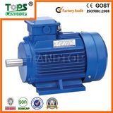 TOPS Y2 Electric Motor Low Rpm