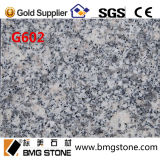 Chinese Light Grey Granite G602