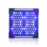 Plant Grow Light/LED Grow Light