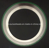 316 (L) Graphite/Fg/Cgi/Spiral Wound Gaskets with Inner and Outer Ring