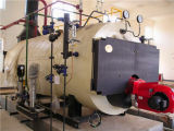 High Quality &High Efficiency AAC Steam Boiler