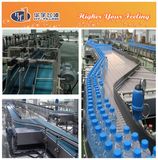 Filled Bottle Conveyor System