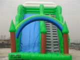 Inflatable House Slide (Sli-036)