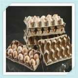 Fancy New Design Cheap Paper Egg Tray for 10PCS Eggs Sale