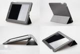 Case for iPad2-3