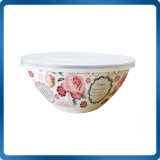 Enamel Salad Bowl with Plastic Cover