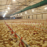 Automatic Poultry Control Shed Equipments for Broilers