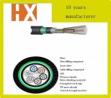 2-216core Outdoor Double Armored Optical Fiber Cable Underground an-Rodent Cable GYTA53