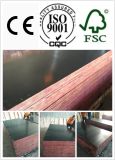 Good Quality and Competitive Price Film Faced Plywood
