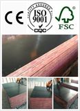 Good Quality and Competitive Price Film Faced Plywood