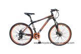MTB Bike (26MTB1510)
