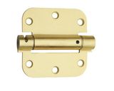 Steel Hinge