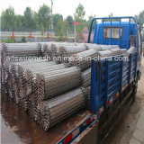 Stainless Steel Wire Mesh Conveyor Belt (High Food Grade)