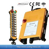 Wireless Crane Radio Remote Control (F21-20D)