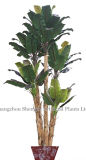 Artificial Banana Tree (better bonsai choice)