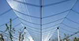 100% New Virgin HDPE Anti Hail Net