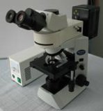 Fluorescence Microscope (MF41)
