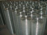 Low Carbon Galvanized Welded Wire Mesh