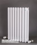 Steel Column Radiator (GGZ2-B) 