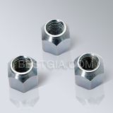 DIN74361 Wheel Nut