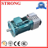 Electric Hoist Motor