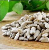 2015 China Sunflower Seed Kernel for Wholesale