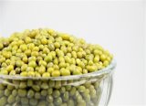 2015 New Crop Hot Sale Green Mung Beans