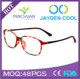 (R626) Best Sold Fashion Top Tr90 Optical Frame Eyewear