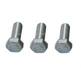 HDG Hex Bolt with Full Thread (Class 8.8)