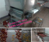 Fruit Pitting Machine/ Dried Date Processing Machine/ Red Date Pitted Machine
