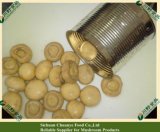 Canned Champignon Mushroom 400g