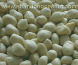 Blanched Peanut Kernels - Spanish Type