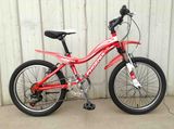 Kid Bicycle