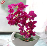 China Bonsai Artificial Flower Silk Phalaenopsis for Home and Wedding Decor Flower
