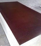 Brown Film Faced Plywood (FFP-HT03003)