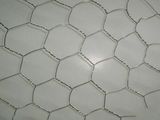 Galvanized Hexagonal Wire Netting