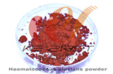 Haematococcus Pluvialis Powder (A030, 3.0% Astaxanthin)